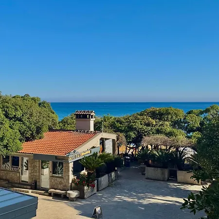 Beachfront Palma - Jaz *